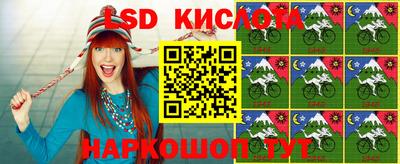 Альфа ПВП Камышлов