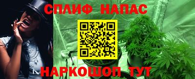 Альфа ПВП Камышлов