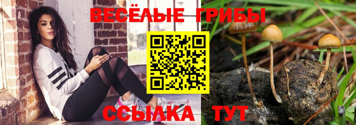 Коммунар  дарнет шоп  Галлюциногенные грибы GOLDEN TEACHER  Вход с VPN  Галлюциногенные грибы ЛСД 